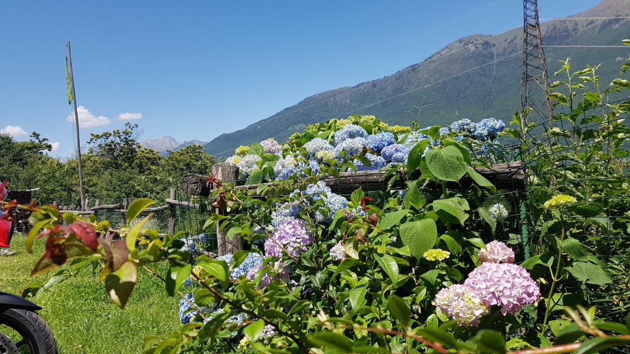 Agriturismo Volpe Golosa Morbegno Exteriör bild